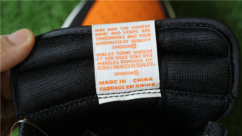 Authentic Air Jordan 1 Shattered Backboard